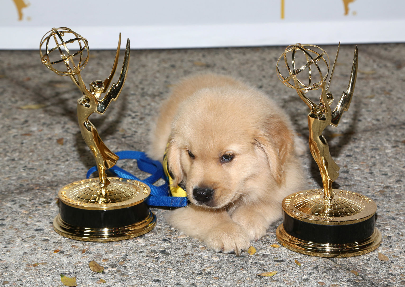 Tyrion